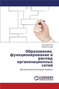 Obrazovanie, Funktsionirovanie I Raspad Organizatsionnykh Setey