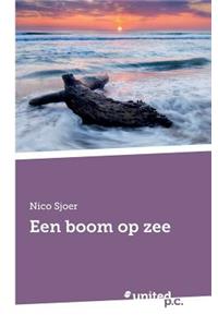 Een Boom Op Zee