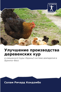 Улучшение производства деревенских кур