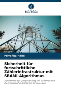 Sicherheit für fortschrittliche Zählerinfrastruktur mit SRAMI-Algorithmus