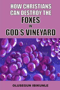 How Christians Can Destroy The Foxes In God's Vineyard