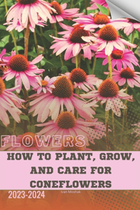 How to Plant, Grow, and Care For Coneflowers