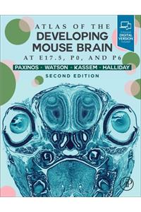 Atlas of the Developing Mouse Brain