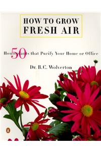 How to Grow Fresh Air: 50 House Plants That Purify Your Home or Office