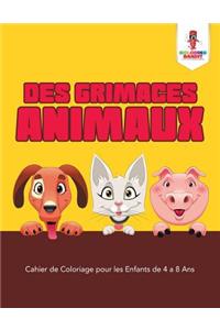 Des Grimaces Animaux