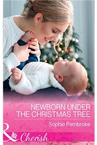 Newborn Under The Christmas Tree