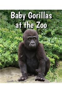 Baby Gorillas at the Zoo