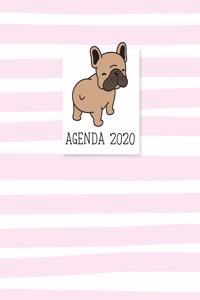Agenda 2020