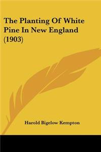 Planting Of White Pine In New England (1903)