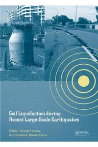 Soil Liquefaction during Recent Large-Scale Earthquakes
