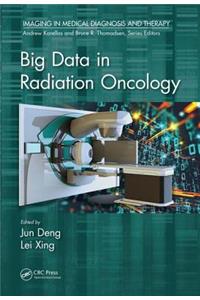 Big Data in Radiation Oncology