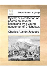 Sylvae; Or a Collection of Poems on Several Occasions by a Young Gentleman of Chichester.