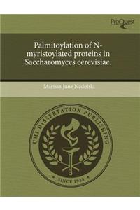 Palmitoylation of N-Myristoylated Proteins in Saccharomyces Cerevisiae