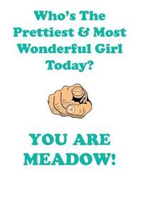 MEADOW is The Prettiest Affirmations Workbook Positive Affirmations Workbook Includes