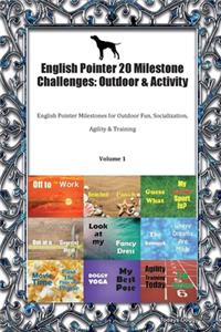 English Pointer 20 Milestone Challenges