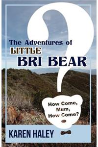 The Adventures of Little Bri Bear