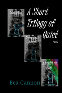 A Short Trilogy of Quiet (Not!)