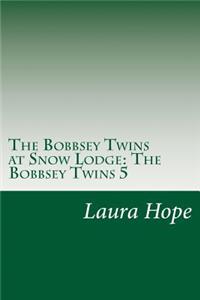The Bobbsey Twins at Snow Lodge