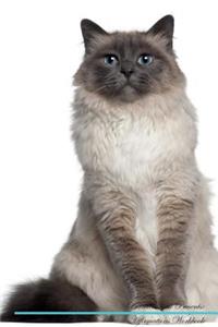 Birman Cat Affirmations Workbook Birman Cat Presents