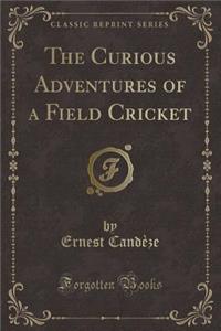The Curious Adventures of a Field Cricket (Classic Reprint)