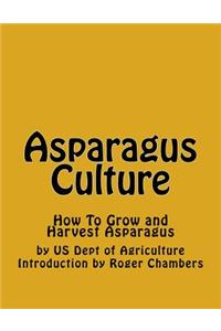 Asparagus Culture