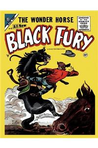 Black Fury # 4