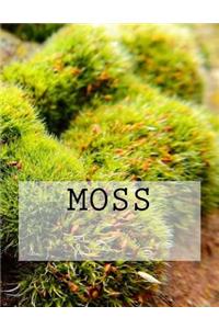 Moss