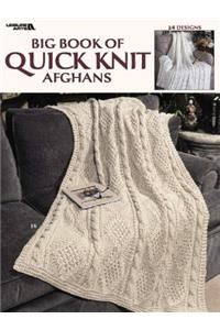 Big Book of Quick Knit Afghans (Leisure Arts #3137)