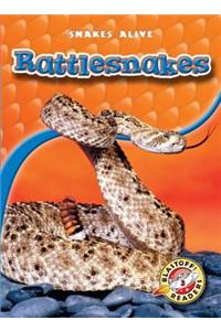 Rattlesnakes