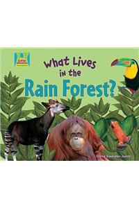 What Lives in the Rain Forest?