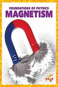 Magnetism