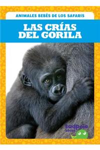 Las Crias del Gorila (Gorilla Infants)