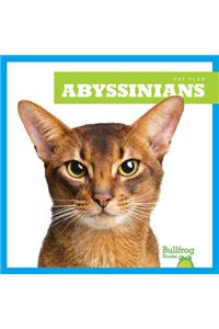 Abyssinians