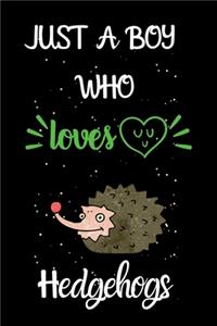 Just A Boy Who Loves Hedgehogs