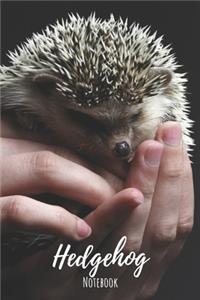 Hedgehog Notebook