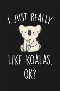 I Just Really Like Koalas Ok