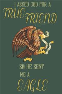 I asked god for a true friend so he sent me a Eagle
