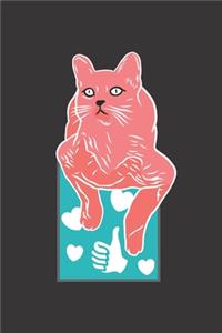 Cats Notebook
