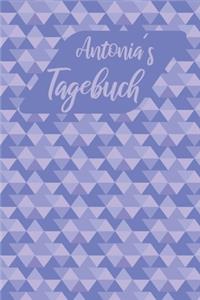 Antonias Tagebuch