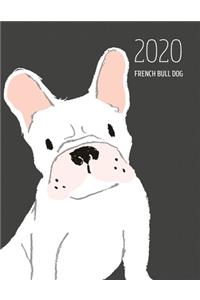 2020 French Bull Dog