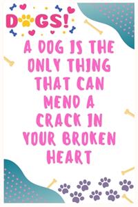 A dog is the only thing that can mend a crack in your broken heart