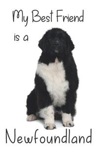 My best Friend is a Newfoundland