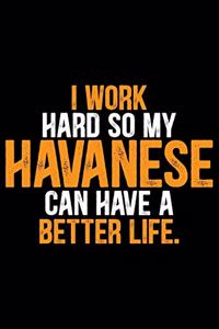 I Work Hard so My Havanese Can Have a Better Life