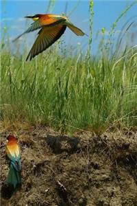 Flying Bee Eaters Notebook