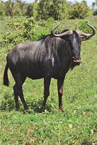 Blue Wildebeest aka Gnu Journal