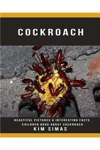 Cockroach