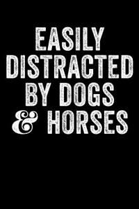 Easily Distracted by Dogs and Horses