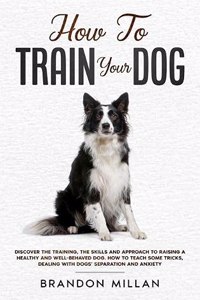 How to Train your Dog