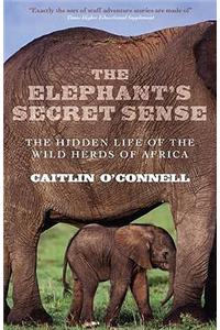 The Elephant's Secret Sense