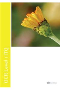 OCR Level 1 ITQ - Unit 58 - Presentation Software Using Microsoft PowerPoint 2010